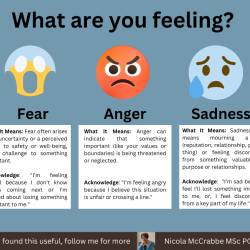 Feelings